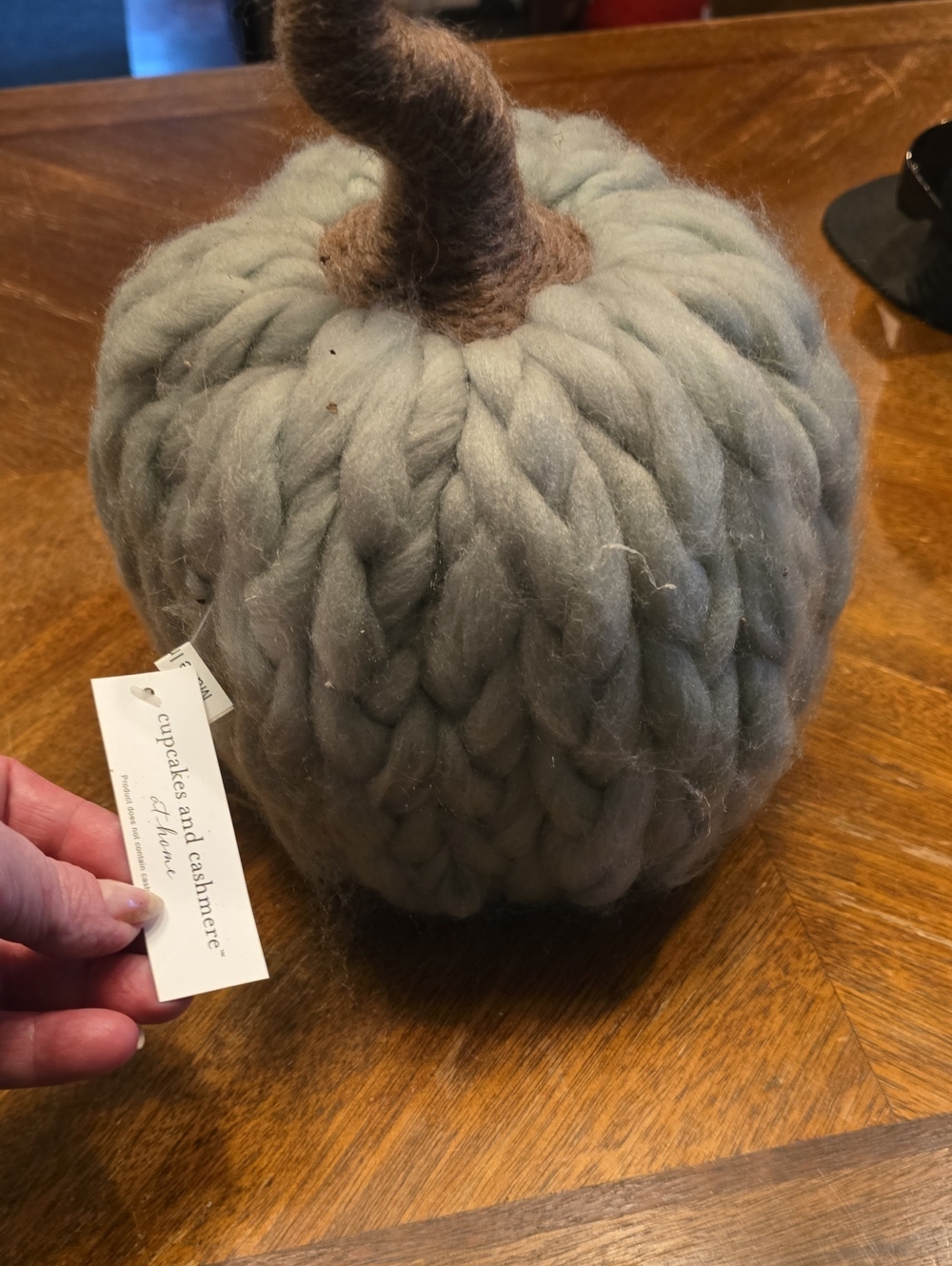 cupcakes & cashmere Chunky Knit Decorative Pumpkin - Sage